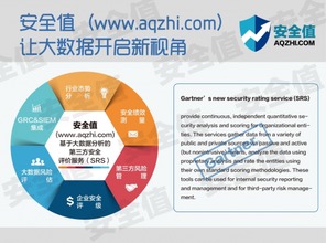 安全值 大數據驅動下的企業管理新范式